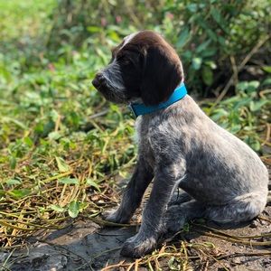 Meet your Posher, Casey